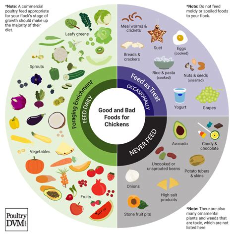 Chart: Good and Bad Foods for Chickens Infographic