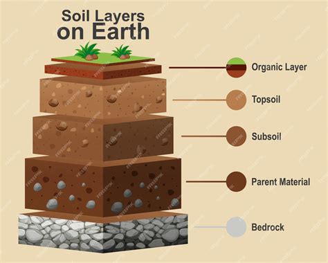 Free Vector | Diagram showing different layers of soil