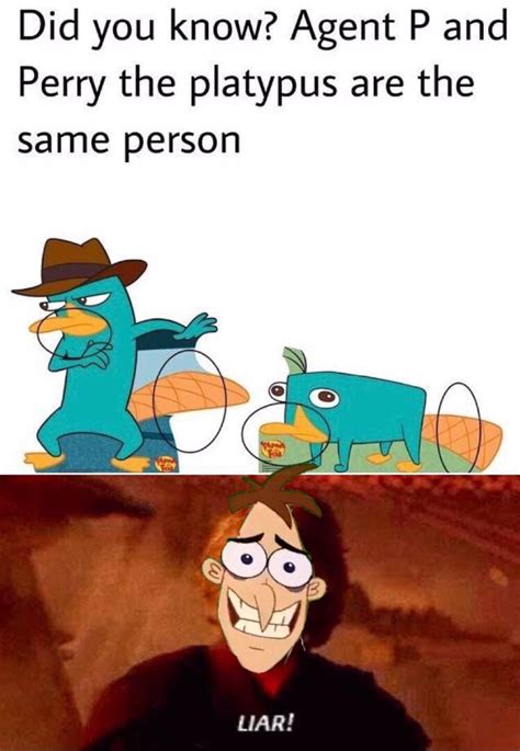 A platypus?…Perry the platypus : r/memes