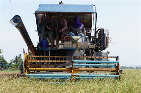 RIce Harvesting in Thailand: The Redundant Rice Farmer