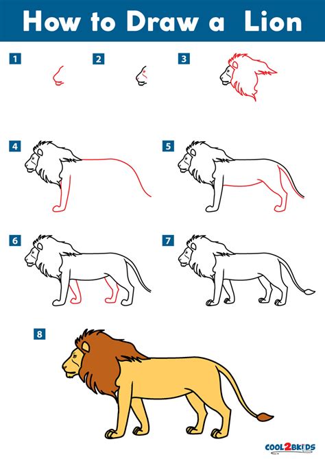 How to Draw a Lion - Cool2bKids