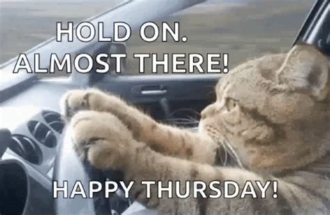 Funny Thursday GIFs | Tenor