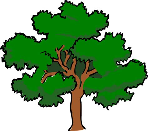 Vector clip art of oaktree with wide treetop, | Public domain vectors