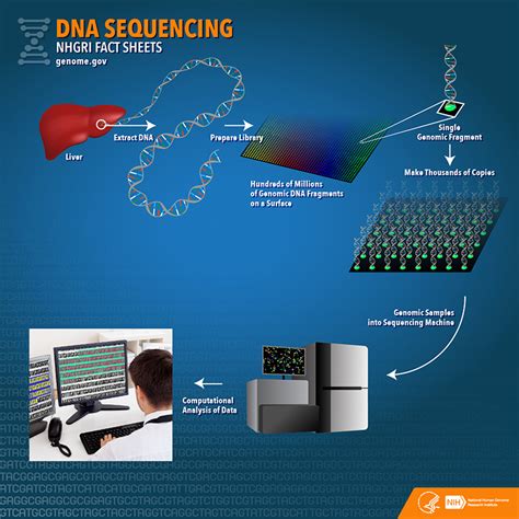 Xét nghiệm DNA (DNA Sequencing) - Tự động hóa IoT