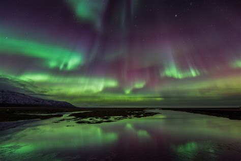 Northern Lights Boat Tour from Reykjavik | Guide to Iceland