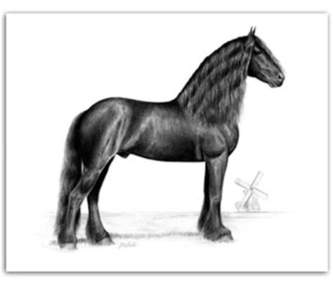 Pride of Friesland : Friesian Horse Art For Sale : Friesian Paintings ...