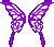 Wings Release Set - Wings of Spring Box - Mabinogi World Wiki