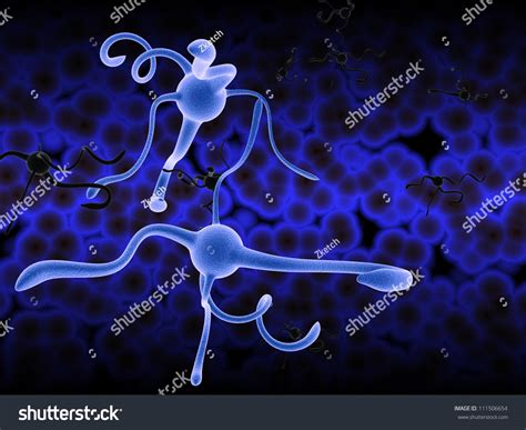 3d Model Nerve Cells Stock Illustration 111506654 - Shutterstock