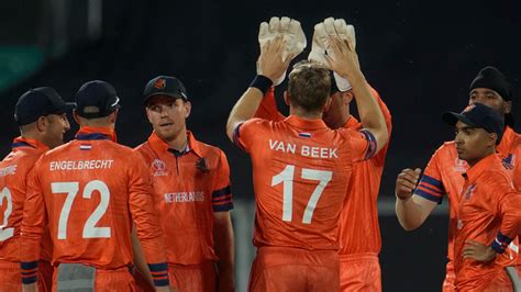 ICC World Cup 2023: Minnows Netherlands out to showcase their worth - Crictoday