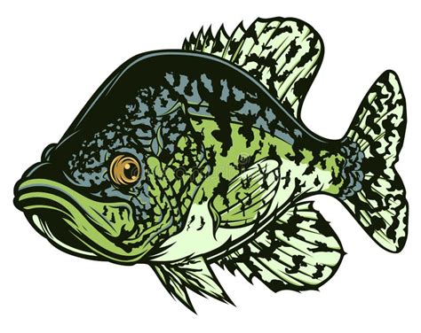 Crappie Fishing Wallpaper