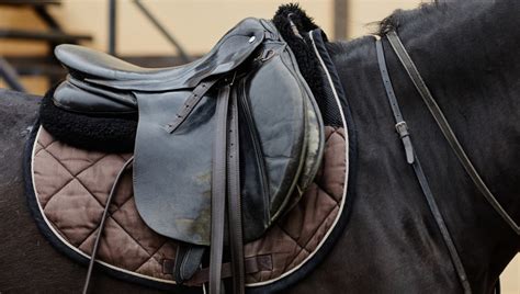 Essential Horseback Riding Equipment List | From Saddles to Riding Boots