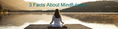 3 Facts About Mindfulness | Alef TrustAlef Trust | Mindfulness, Facts, Sensation