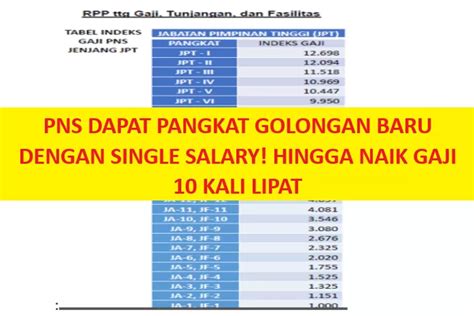 PNS DAPAT PANGKAT GOLONGAN BARU DENGAN SINGLE SALARY! Hingga Naik Gaji ...