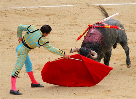 The Romance and Reality of Bullfighting | Saving Earth | Encyclopedia ...