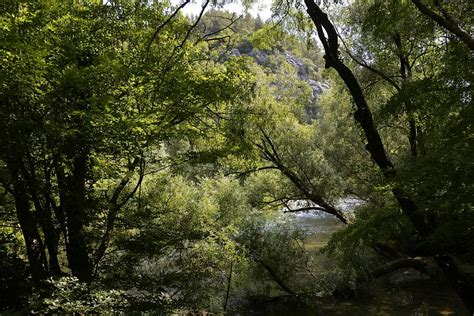 Cetina Canyon (6) | Makarska | Pictures | Croatia in Global-Geography