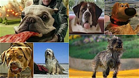 Best in Shows: The 100 Most Iconic Dogs in Movies - Paste Magazine