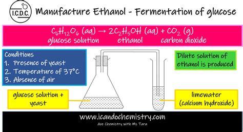 organic chemistry fermentation of glucose o level secondary tuition