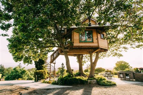 Vacation rentals: 12 captivating treehouses for rent - Curbed