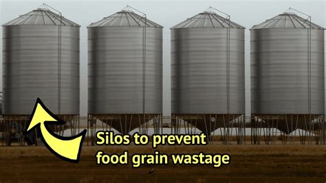 Storing Food Grains In Silos: An Effective Method To Counter Regular Post-Harvest Losses - YouTube