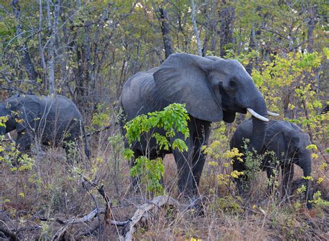 Malawi, The Warm Heart of Africa – Where to See It’s Incredible ...