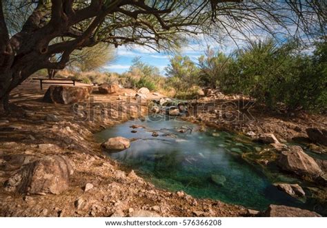 Small Stream Riparian Preserve Water Ranch Stock Photo 576366208 ...