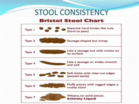 PPT - STOOL EXAMINATION PowerPoint Presentation, free download - ID:2198793