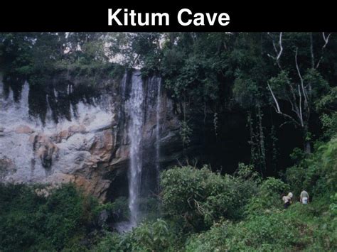 PPT - Kitum Cave PowerPoint Presentation, free download - ID:508776