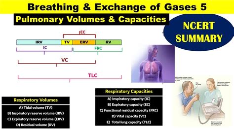 Respiratory Volumes & Capacities | Spirometry | Tidal Volume | Residual ...