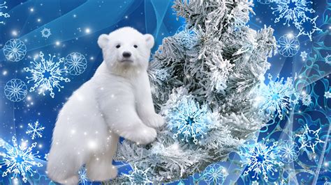 Christmas Polar Bear Wallpapers - Wallpaper Cave