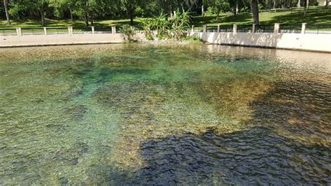 Salt Springs Recreation Area - 2021 All You Need to Know BEFORE You Go (with Photos) - Tripadvisor