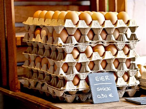 Eggs Organic Food Farm - Free photo on Pixabay - Pixabay