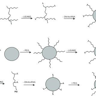 Schematic representation of three strategies used for the formation of... | Download Scientific ...