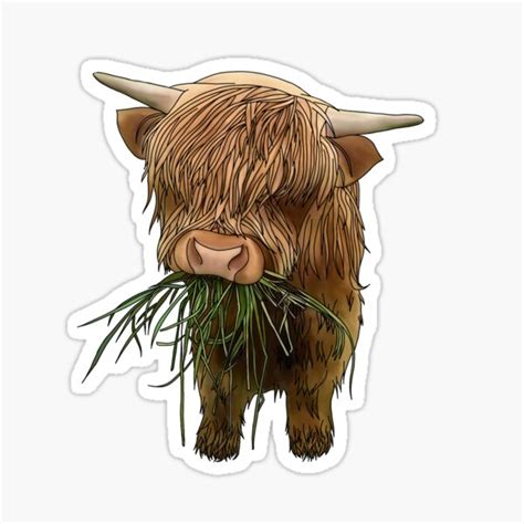 Stickers, Labels & Tags Boho Highland Cow Sticker 4 Sticker Cute ...