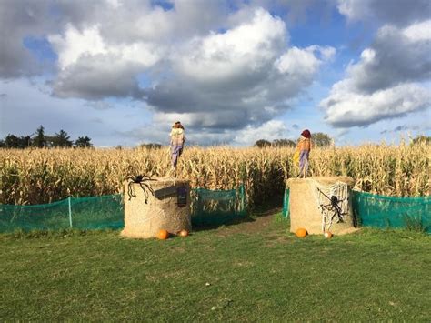 Halloween - Glenroe Farm - A Great Day Out For All The Family