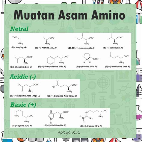 Asam Amino Adalah Suatu Molekul Pembentuk Protein Seputar Bentuk | Free ...