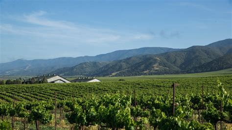 This Storied California Vineyard Makes Wine Worth Traveling For | Condé ...