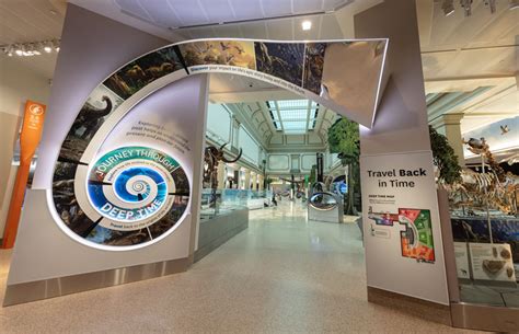 ‘Deep Time’ Fossil Exhibit at Smithsonian's Natural History Museum