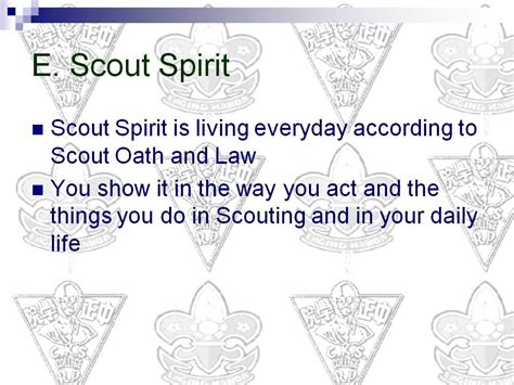 Scout Spirit - LSVMS Boy Scouts of the Philippines