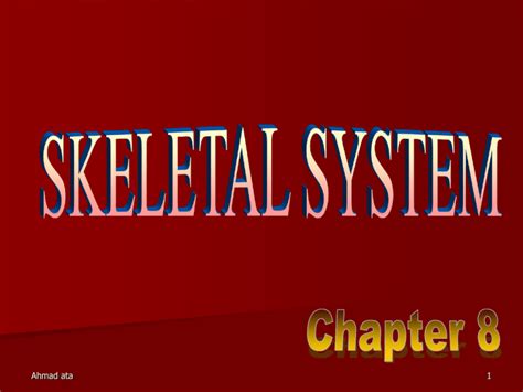 skeletal system