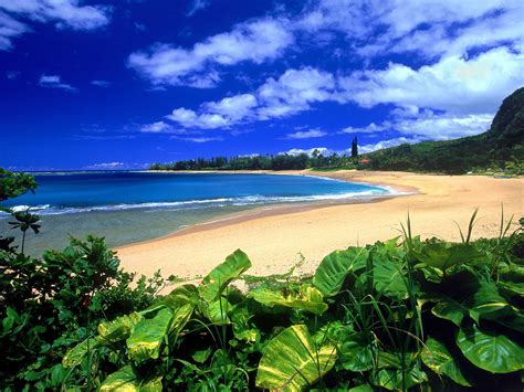 HD Desktop Wallpaper: hawaii