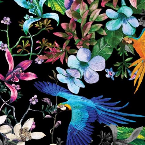 BIRDPARAWALL | Birds Of Paradise Wallpaper