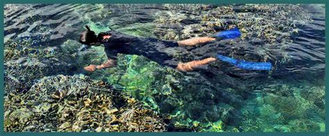 The ultimate Lovina Snorkeling Guide - Bali Surya Tours Lovina