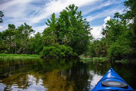 Wekiva Springs trip : Kayaking