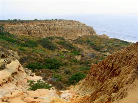 10 Things to Do at Torrey Pines State Natural Reserve