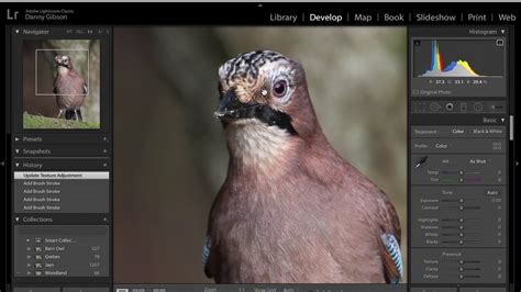 Using Topaz DeNoise AI with Adobe Lightroom - YouTube