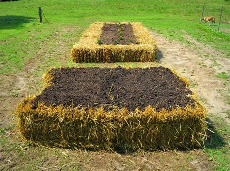 Been Gardening...Bin Gardening: Hügelkultur and Straw Bale Gardening ...