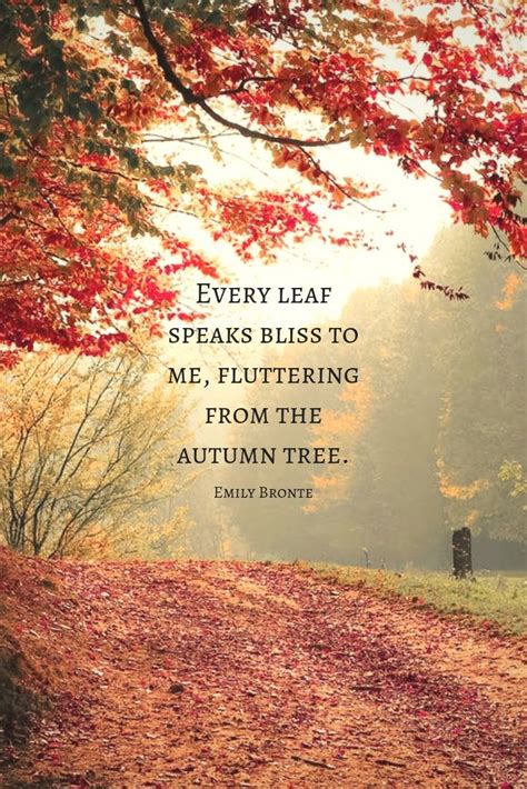 Quotes a Beautiful 15 in 2020 | Autumn quotes, Autumn trees, Nature quotes trees