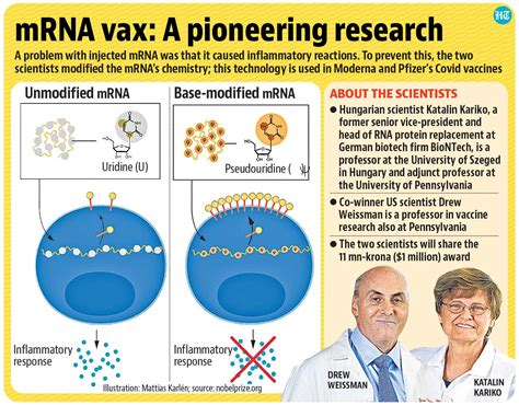 Nobel medicine prize: How two scientists modified mRNA for vaccine ...