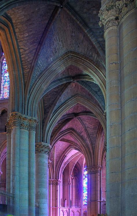 Purple Light | Reims cathedral, Cathedral architecture, Architecture