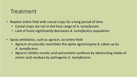 Crown Gall Disease